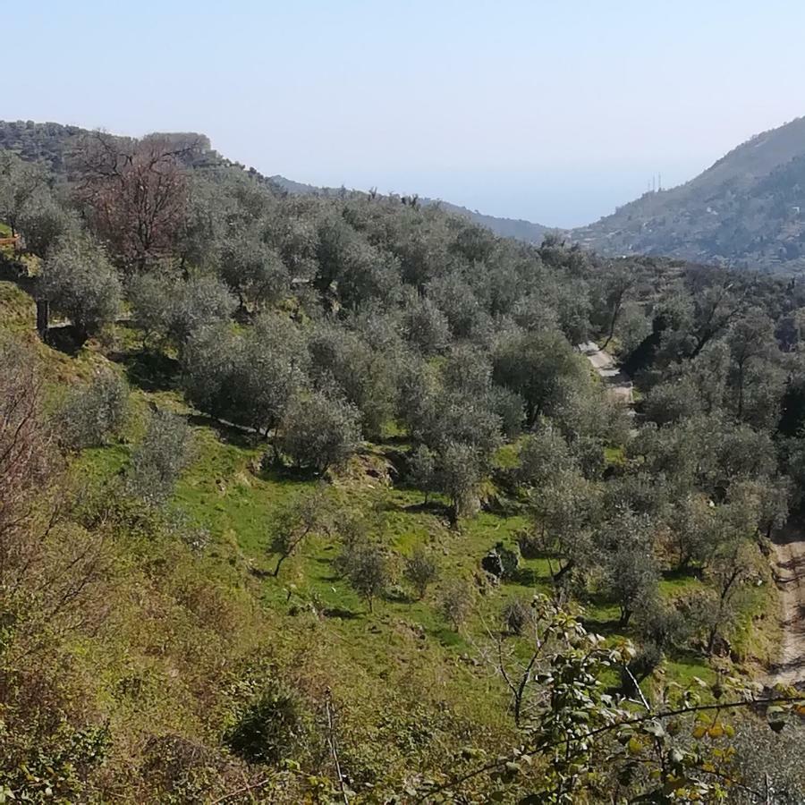 Casa Margherita Appartamento Ceriana Esterno foto
