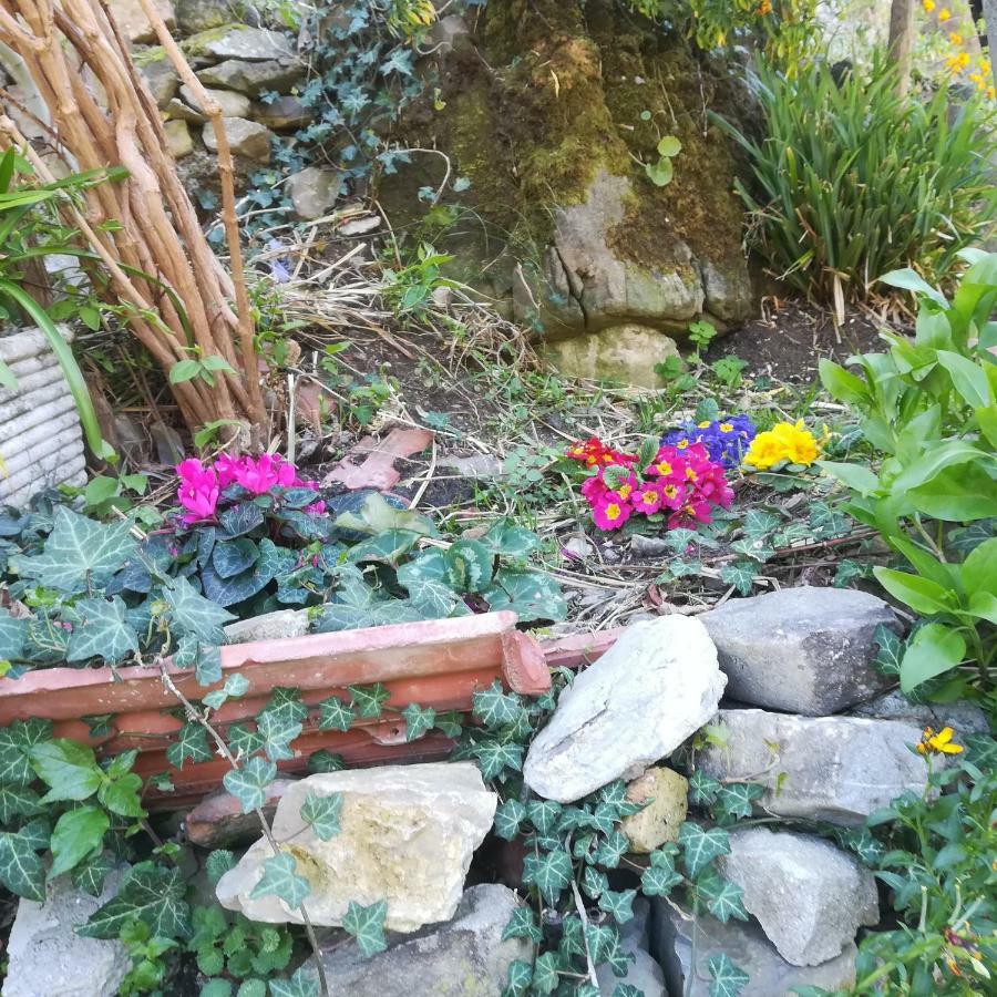 Casa Margherita Appartamento Ceriana Esterno foto
