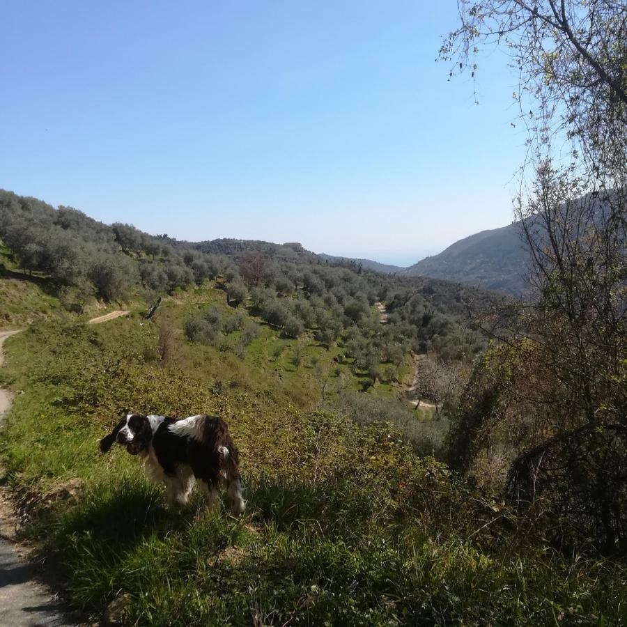 Casa Margherita Appartamento Ceriana Esterno foto