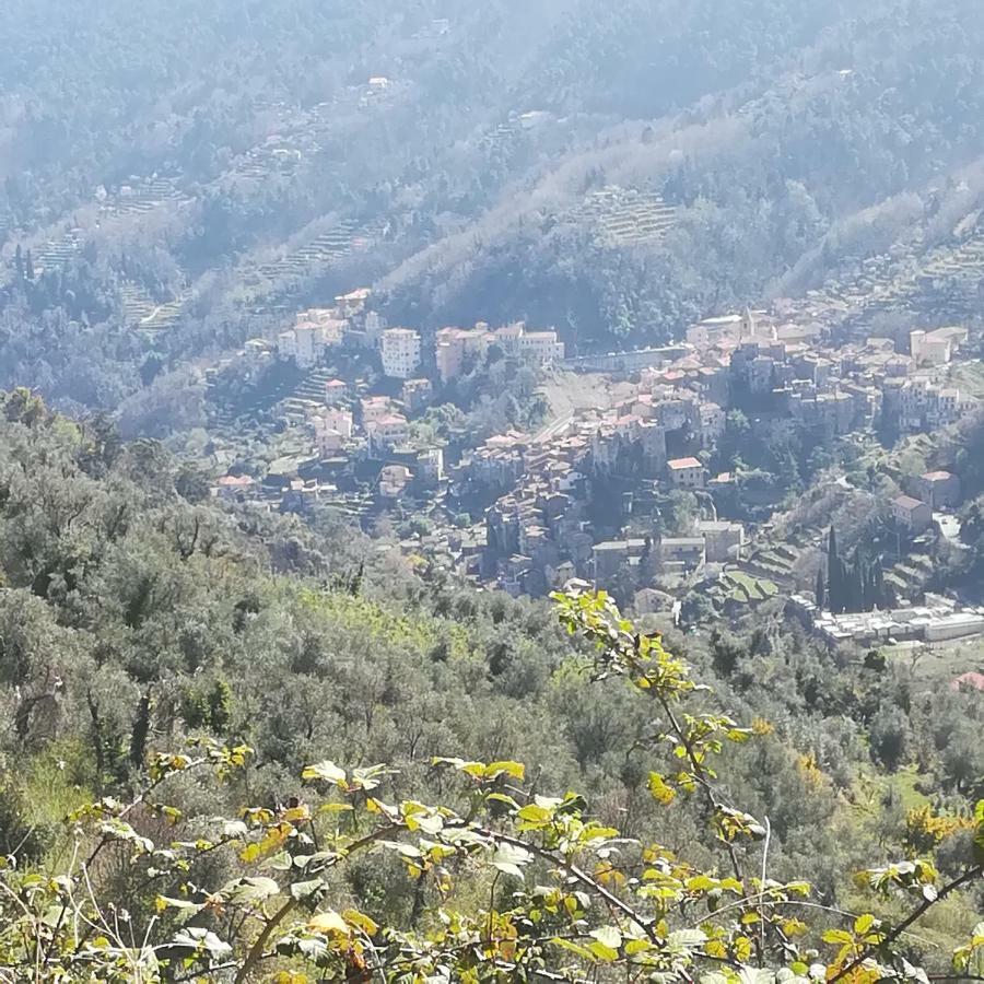 Casa Margherita Appartamento Ceriana Esterno foto